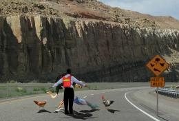 BirdCrossing